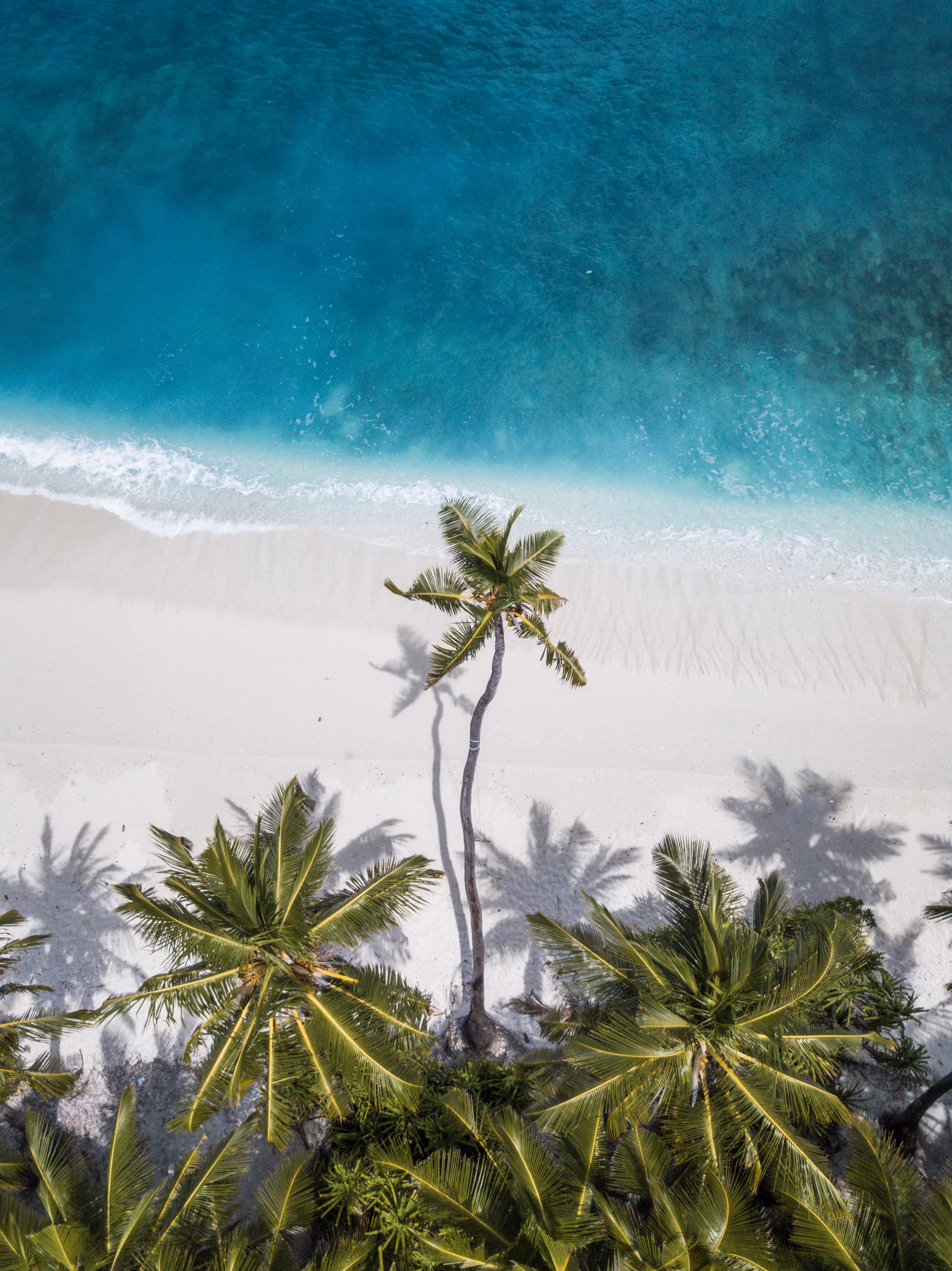 Beach Offsites